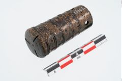 Foto von Bronzeortband (NHMW-PRAE-025523)